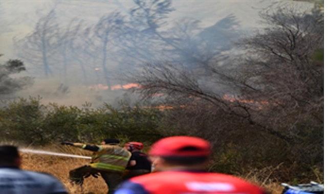 Bornova Gökdere’de yangınla çaba sürüyor