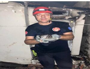 Büyükşehir yangın bölgelerindeki tüm canlıların yardımına koştu