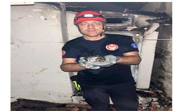 Büyükşehir yangın bölgelerindeki tüm canlıların yardımına koştu