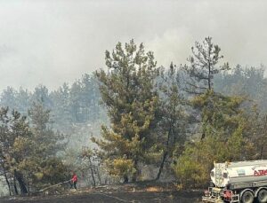 Büyükşehir’den Bursa’daki yangına tam takviye