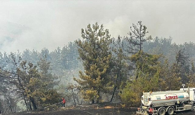 Büyükşehir’den Bursa’daki yangına tam takviye