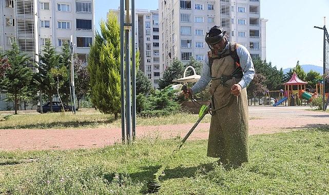 Canik’te Parklar Bakımlı ve Tertemiz