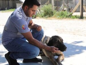 Efes Selçuk’ta “Satın Alma Sahiplen” Daveti
