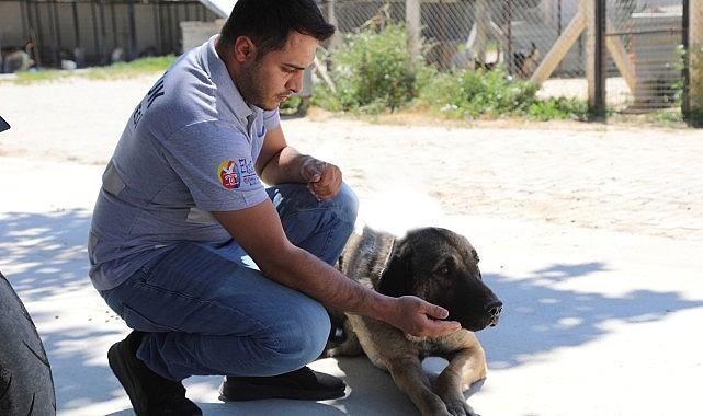 Efes Selçuk’ta “Satın Alma Sahiplen” Daveti