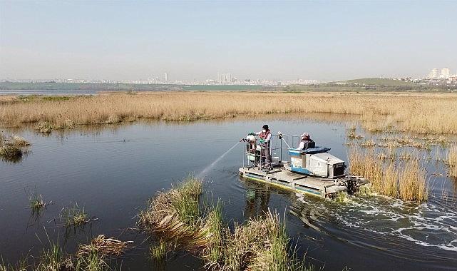 Esenyurt’ta Kemirgen Problemine Karşı İBB’den Süratli Müdahale