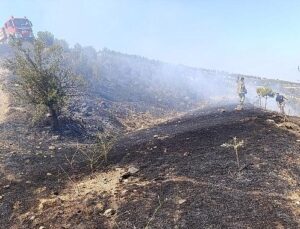 Güzelbahçe’de ‘Su’ Seferberliği!