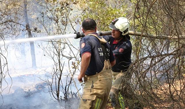 İBB Grupları Sakarya ve Bilecik’te Orman Yangınlarına Müdahale Dayanağına Devam Ediyor