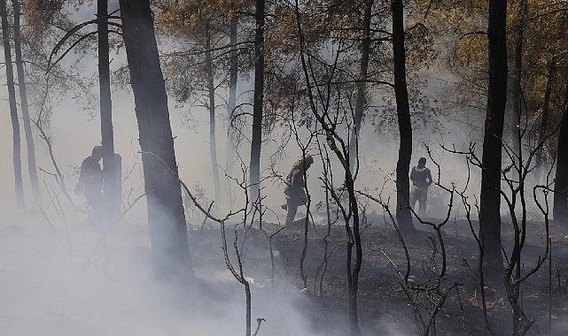 İBB’den Bursa’daki orman yangınına acil takviye