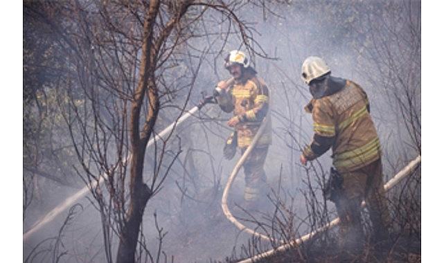 İZPA İzmir’in orman yangını risk haritasını oluşturdu