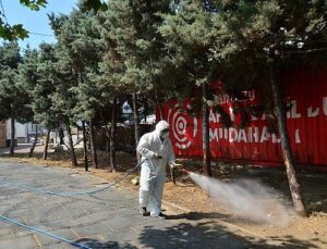 Kene ve Haşerelerle Gayret İçin İlaçlama Çalışmaları Başladı