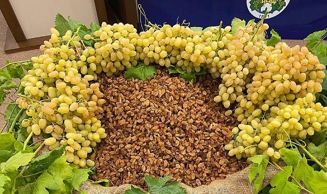 Kuru meyve bölümünde 12 ihracat şampiyonunun 11’i Egeli