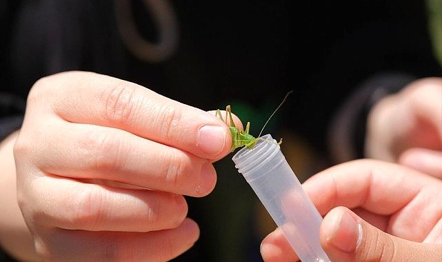 Kuzuyayla’da biyoçeşitlilik haritası çıkarıldı