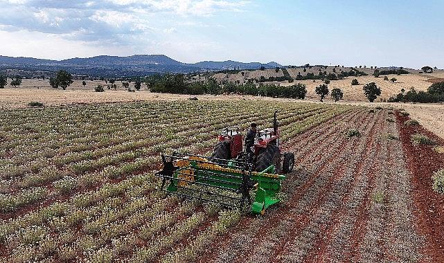 Lider Altay: “Kuraklığa Güçlü Bitki Dayanaklarıyla Çiftçimize Yeni Fırsatlar Sunuyoruz”