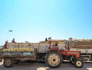 Manavgat Yeni Hal Toptancı Kompleksi üreticilerin ve tüccarların yüzlerini güldürüyor