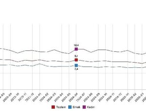 Mevsim tesirinden arındırılmış işsizlik oranı yüzde 8,6 düzeyinde gerçekleşti