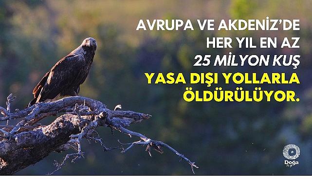 “The Killing 3.0” Raporu’na Nazaran Kuşların Yasa Dışı Öldürülmesi Artıyor.
