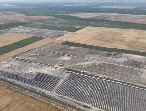 YEO Teknoloji’den dünyaya 2.5 milyon ağaç kadar nefes
