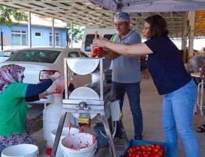 Ayvalık’ta Salça Vakti Başlıyor!