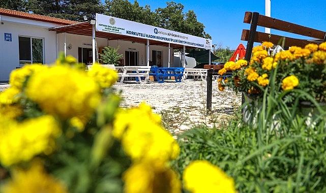 Büyükşehir’den bayanlara üretim takviyesi