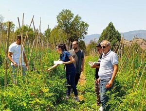 Çankaya Belediyesi’nden organik pazar kontrolleri
