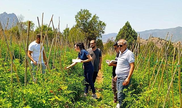 Çankaya Belediyesi’nden organik pazar kontrolleri