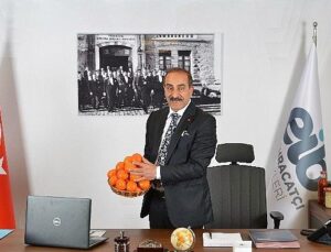 Ege Bölgesi Narenciye Rekoltesi 449 bin ton