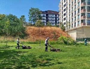 Gebze Tatlıkuyu Vadisi Kent Parkı’na tertipli bakım
