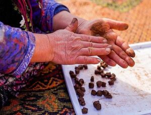İnci GS Yuasa Akü’den tabiata 100.000 tohumluk katkı!