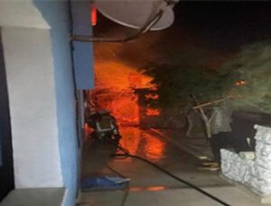 İzmir İtfaiyesi Dikili’deki yangına müdahale ediyor