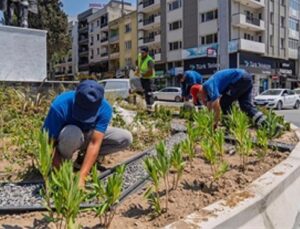 Kavşaklara estetik ve sürdürülebilir dokunuş
