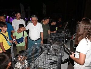 Kemer’de sokak hayvanları faydasına ikinci konser