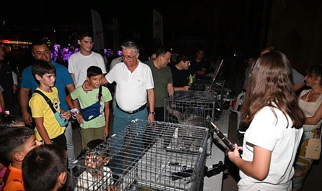 Kemer’de sokak hayvanları faydasına ikinci konser