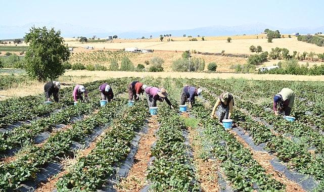 Lider Altay: “Tarımın Her Alanında Üreticimizin Yanında Olmaya Devam Edeceğiz”