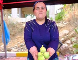 Menemen’de Bozalan İncir Şenliği heyecanı yaşanacak