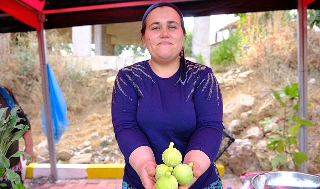 Menemen’de Bozalan İncir Şenliği heyecanı yaşanacak