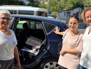 Narlıdere Belediyesi’nden minik dostlar için seferberlik