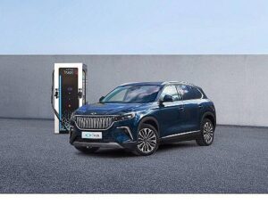 Trugo şarj ekosisteminde tepede