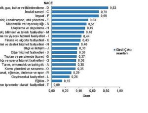Arz ve Kullanım Tabloları, Girdi-Çıktı Tabloları, 2023