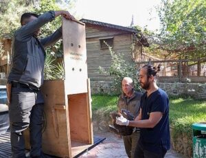 Büyükşehir Doğal Ömür Parkı’nın tedavi edilen Yılan Kartalı tabiata geri döndü