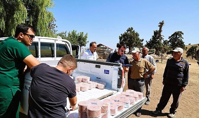 Büyükşehir Konyaaltı’nın “Çoban Haritasını” çıkarıyor