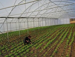 Büyükşehir’den çiftçilere çağdaş sera dayanağı