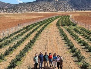 Büyükşehir’in hibeleri üreticinin yüzünü güldürdü