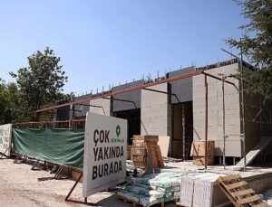 Çankaya, Çınarların Yeni Buluşma Noktası Olacak