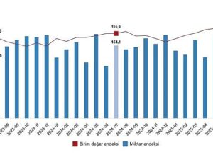Dış Ticaret Endeksleri, Temmuz 2025