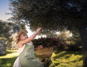 Ela Excellence Resort Belek’te Zeytin Ağaçlarının Gölgesinde Unutulmaz Bir Seyahat
