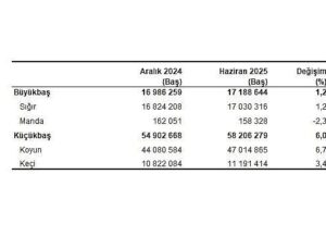 Hayvancılık İstatistikleri, Haziran 2025