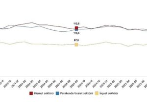 Hizmet, Perakende Ticaret ve İnşaat İnanç Endeksleri, Eylül 2025