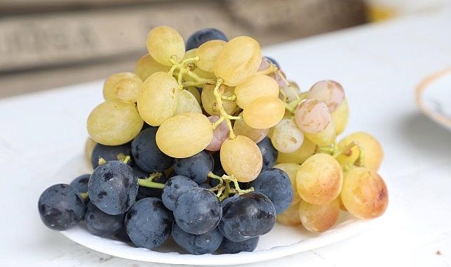 İnegöl Belediyesi’nden Çiftçiye Üzüm Hasadını Kolaylaştıran Dayanak