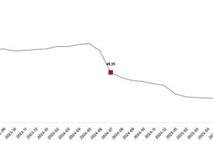 İnşaat Maliyet Endeksi, Temmuz 2025