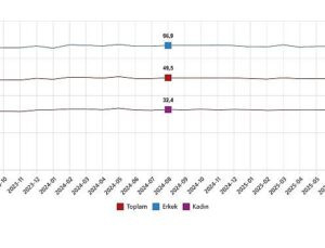 İşgücü İstatistikleri, Ağustos 2025
